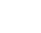 Brand Logo 2